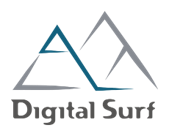 digital_surface_logo_3.png